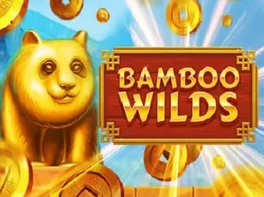 Winz Casino screenshot